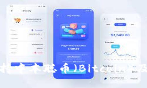 : TP钱包如何支持中本聪币（Bitcoin）及其最佳使用方式