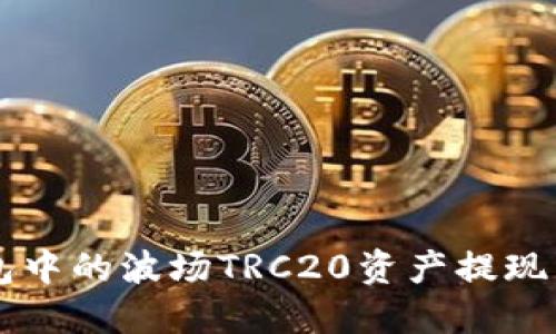 如何将TP钱包中的波场TRC20资产提现并换成人民币