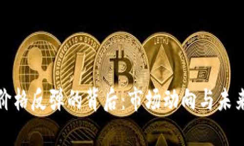 加密货币价格反弹的背后：市场动向与未来趋势分析