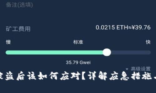 : TP钱包被盗后该如何应对？详解应急措施与防护攻略