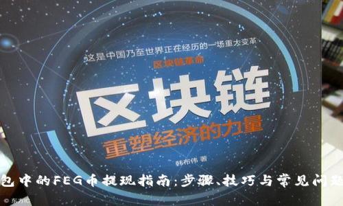 TP钱包中的FEG币提现指南：步骤、技巧与常见问题解答