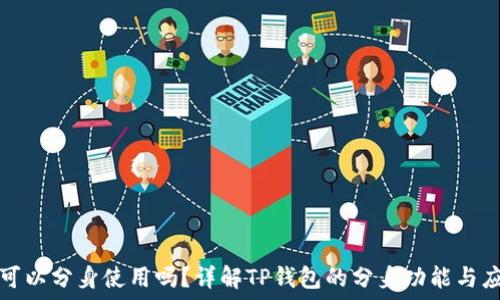   
TP钱包可以分身使用吗？详解TP钱包的分身功能与应用场景