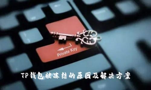 TP钱包被冻结的原因及解决方案