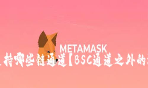 TP钱包支持哪些链通道？BSC通道之外的选项解析