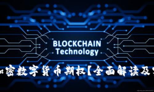 什么是加密数字货币期权？全面解读及实用指南