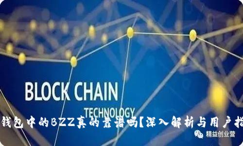 TP钱包中的BZZ真的靠谱吗？深入解析与用户指南
