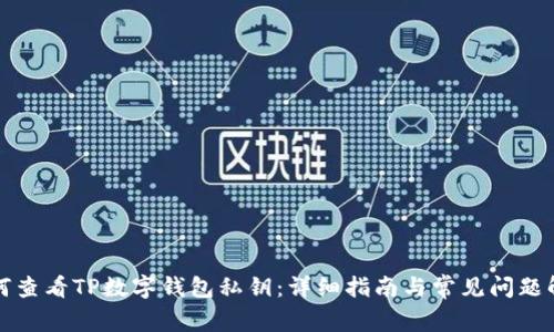 如何查看TP数字钱包私钥：详细指南与常见问题解答