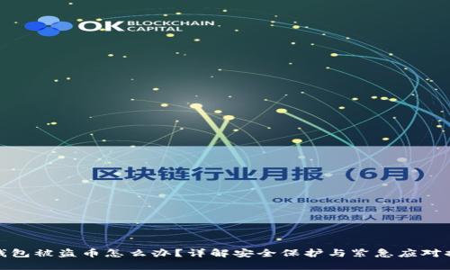 TP钱包被盗币怎么办？详解安全保护与紧急应对措施