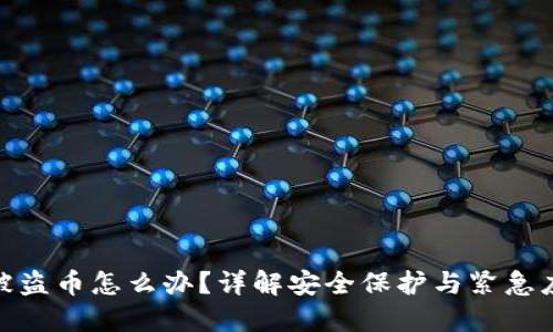 TP钱包被盗币怎么办？详解安全保护与紧急应对措施