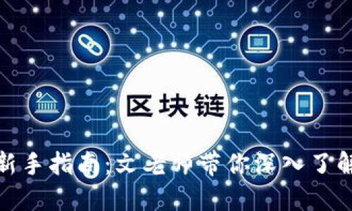 加密货币新手指南：文老师带你深入了解加密市场