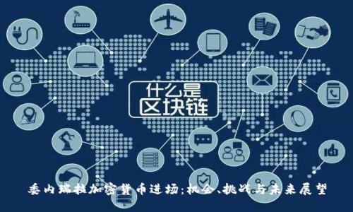 委内瑞拉加密货币进场：机会、挑战与未来展望