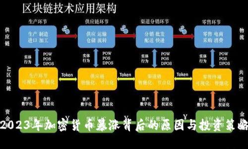2023年加密货币暴涨背后的原因与投资策略