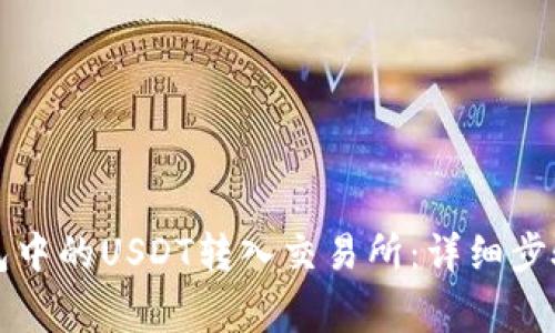 如何将TP钱包中的USDT转入交易所：详细步骤与注意事项