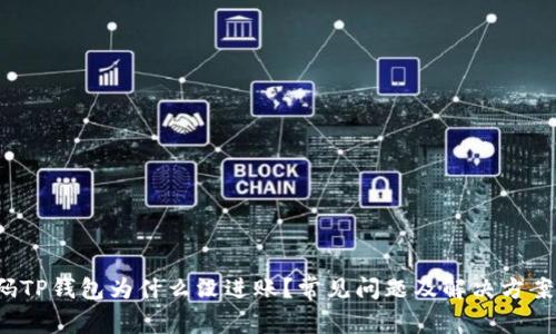  扫码TP钱包为什么没进账？常见问题及解决方案详解
