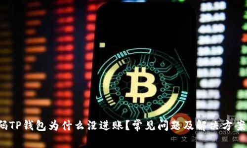  扫码TP钱包为什么没进账？常见问题及解决方案详解