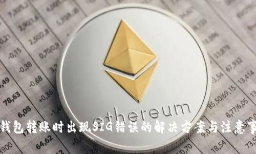 TP钱包转账时出现SIG错误的解决方案与注意事项