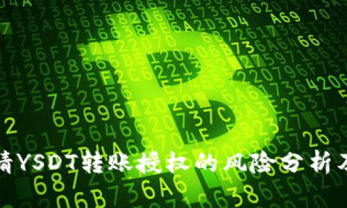 TP钱包申请YSDT转账授权的风险分析及应对策略
