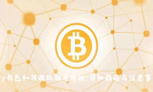t p钱包如何提现到马蹄链：详细指南与注意事项