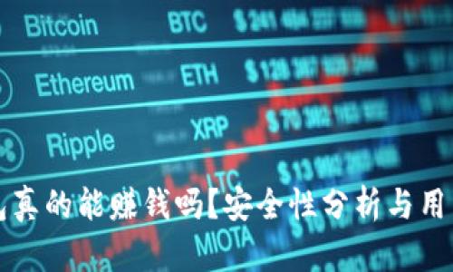 TP钱包真的能赚钱吗？安全性分析与用户指南