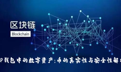 TP钱包中的数字资产：币的真实性与安全性解析