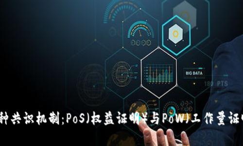 加密货币的两种共识机制：PoS（权益证明）与PoW（工作量证明）的深入解析