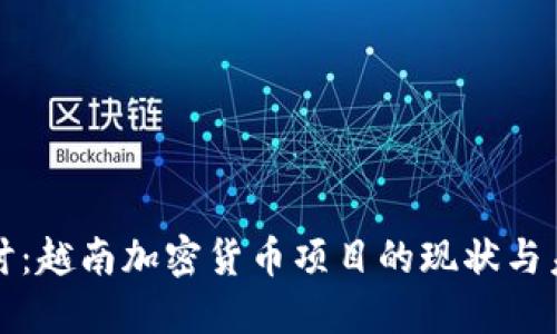 深入探讨：越南加密货币项目的现状与未来发展