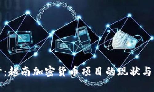 深入探讨：越南加密货币项目的现状与未来发展