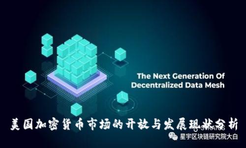 美国加密货币市场的开放与发展现状分析
