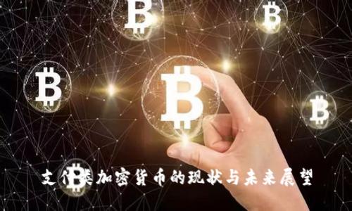 支付类加密货币的现状与未来展望