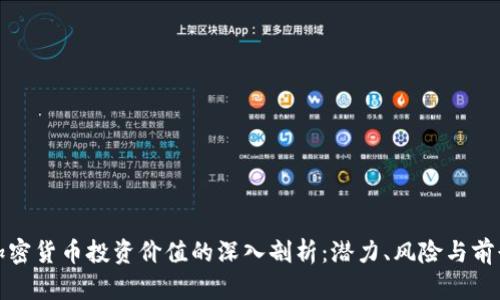 加密货币投资价值的深入剖析：潜力、风险与前景