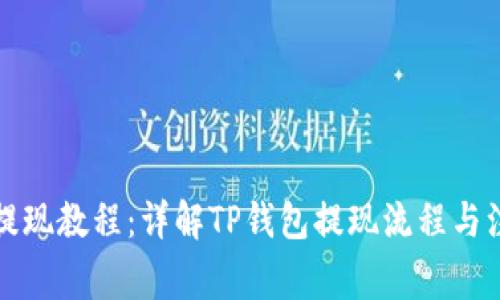 TP钱包提现教程：详解TP钱包提现流程与注意事项