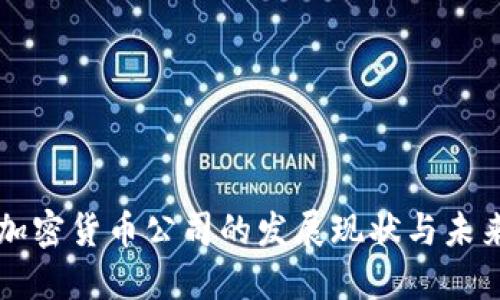北京加密货币公司的发展现状与未来展望