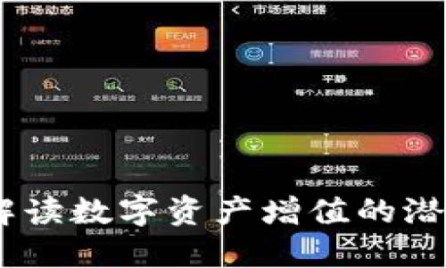 TP钱包：解读数字资产增值的潜力与风险