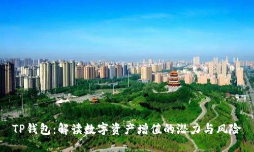 TP钱包：解读数字资产增值的潜力与风险