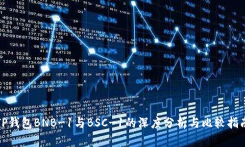 TP钱包BNB-1与BSC-1的深度分析与比较指南