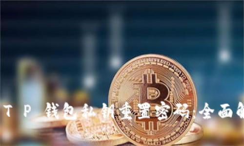 如何使用 T P 钱包私钥重置密码：全面解析与技巧