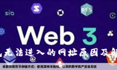 t P钱包无法进入的网址原因及解决方案