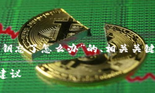 在此场景下，我将为您提供有关“T P钱包密钥忘了怎么办”的、相关关键词、详细介绍以及5个相关问题的深入解析。

如何找回遗忘的T P钱包密钥？解决方案与建议