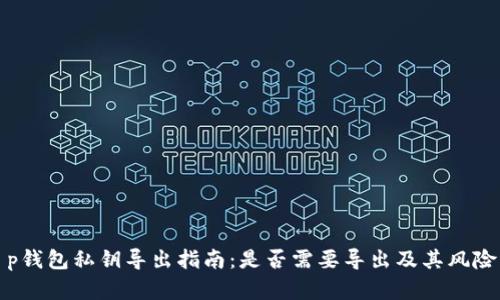 : t p钱包私钥导出指南：是否需要导出及其风险解析