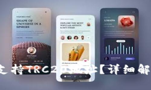 T P钱包是否支持TRC20地址？详细解读与使用指南