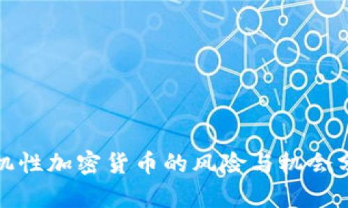 投机性加密货币的风险与机会分析