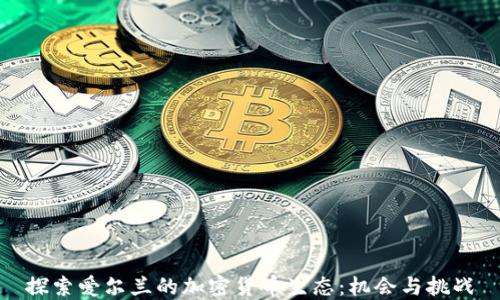 
探索爱尔兰的加密货币生态：机会与挑战