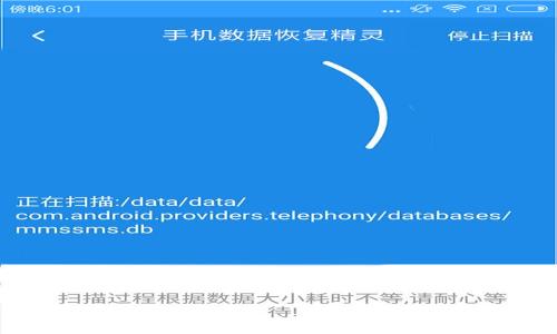 

如何使用TP钱包进行TRC20收款的详细指南