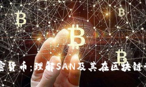 深入解析加密货币：理解SAN及其在区块链世界中的角色