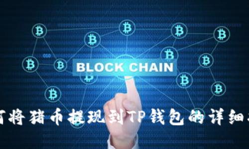 如何将猪币提现到TP钱包的详细指南