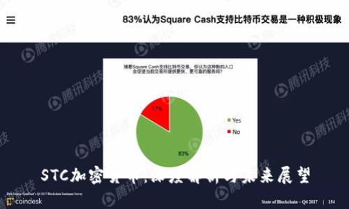 STC加密货币：深度解析与未来展望