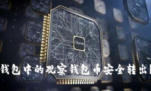 如何将TP钱包中的观察钱包币安全转出？详尽指南