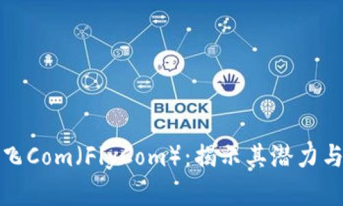 加密货币飞Com（FlyCom）：揭示其潜力与发展前景