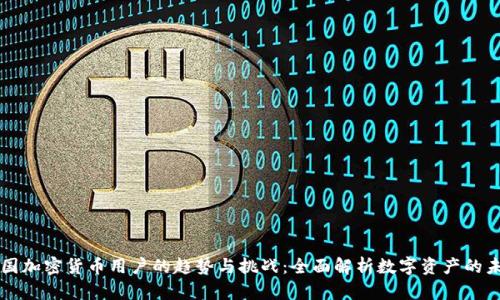美国加密货币用户的趋势与挑战：全面解析数字资产的未来