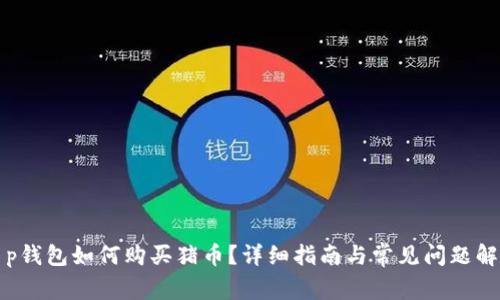 t p钱包如何购买猪币？详细指南与常见问题解析